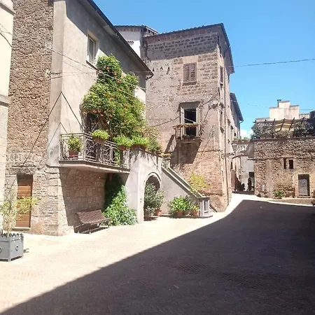 Sacrobosco Castagno