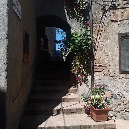 Sacrobosco Castagno